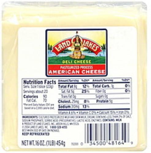 33 American Cheese Nutrition Label Labels Database 2020