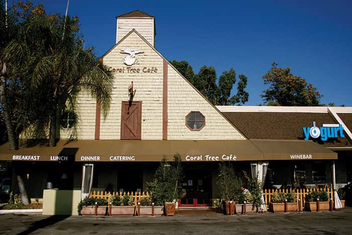 Blog Coral Tree Caf A Healthy Casual Indoor outdoor American 