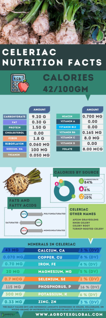 Celeriac Celery Root