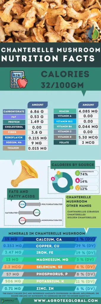Chanterelle Mushrooms