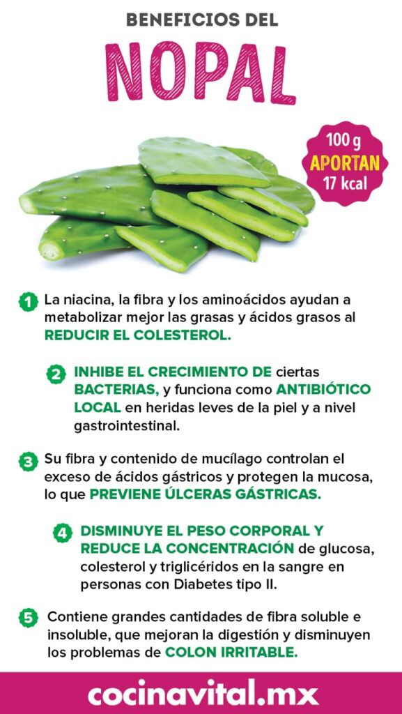 Estos Son Los 8 Beneficios Del Nopal Para Tu Salud Que Debes Conocer 