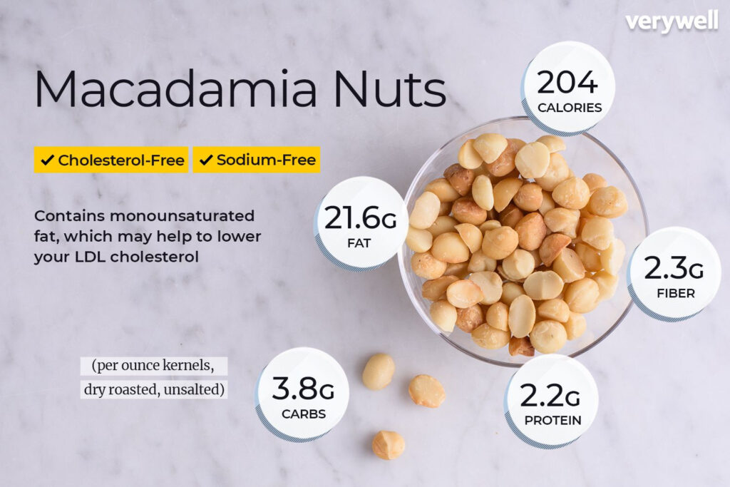 Macadamia Nut Nutrition Facts And Health Benefits