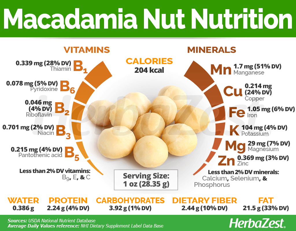 Macadamia Nuts HerbaZest