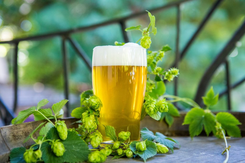 McMenamins Wilsonville Old Church And Pub Fresh Hopped Fest 