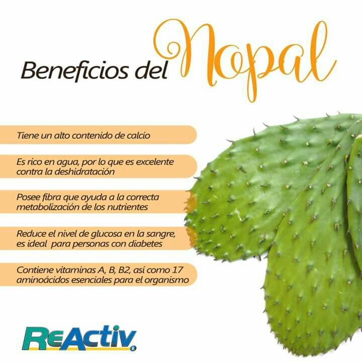 Pin De Rachael Gonzales En Comida Mexicana Beneficios Del Nopal 