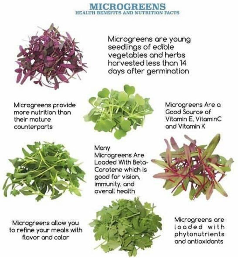 Printable Microgreens Nutrition Chart