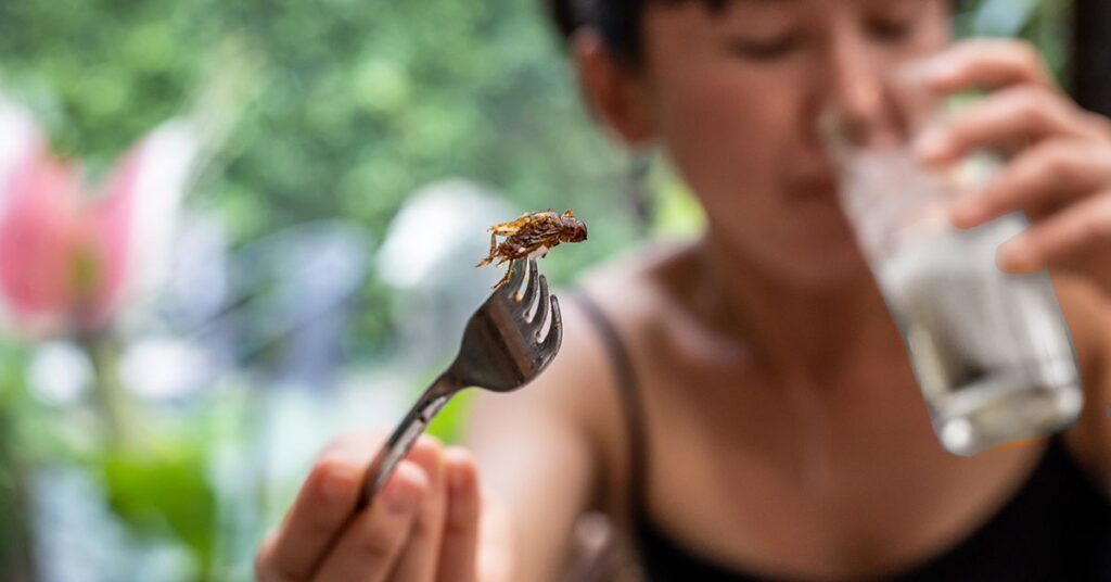 The Essential Mole Nutrition Facts You Need To Know Facts Vibes